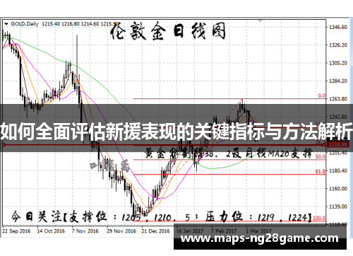 如何全面评估新援表现的关键指标与方法解析
