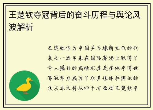 王楚钦夺冠背后的奋斗历程与舆论风波解析