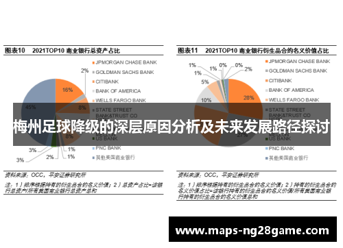 梅州足球降级的深层原因分析及未来发展路径探讨