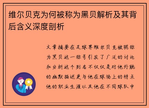 维尔贝克为何被称为黑贝解析及其背后含义深度剖析